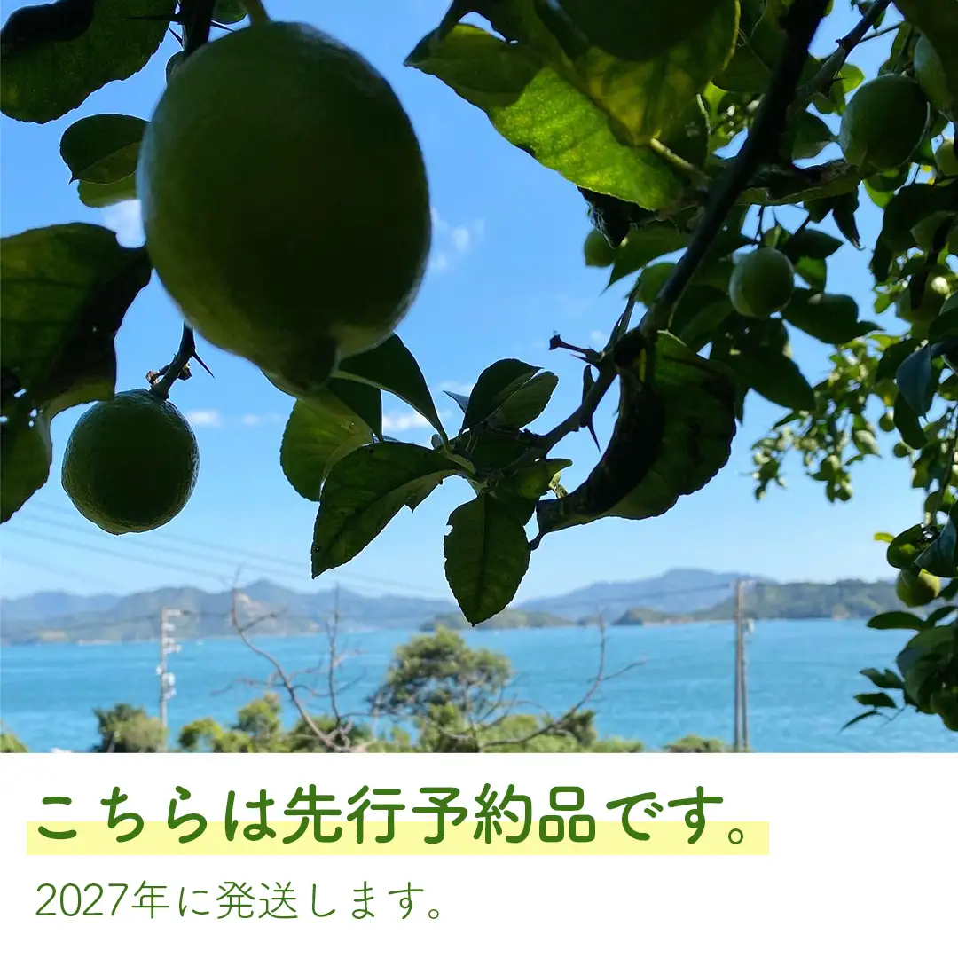 瀬戸内 有機栽培 レモン オーガニック JAS認証 有機 防腐剤ワックス不使用 3kg ( 目安25～30個程度 ) 広島県産 大崎上島町 蔵八農園 【 2027年1月～3月上旬 発送予定 】