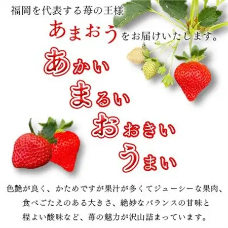 【2027年1月下旬～順次発送予定】福岡県産あまおう合計約1,080g 約270g×4パック(水巻町【配送不可地域：離島】【1685379】