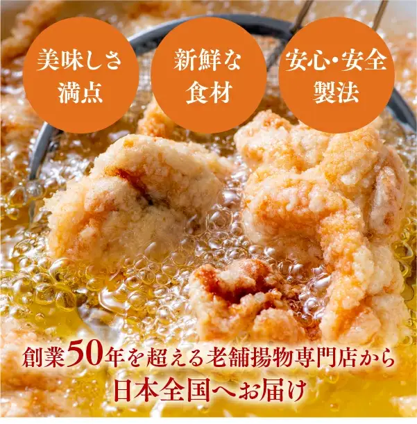 【1月配送】 骨なし大分からあげ1kg(500g×2袋) | 豊後高田市 唐揚げ