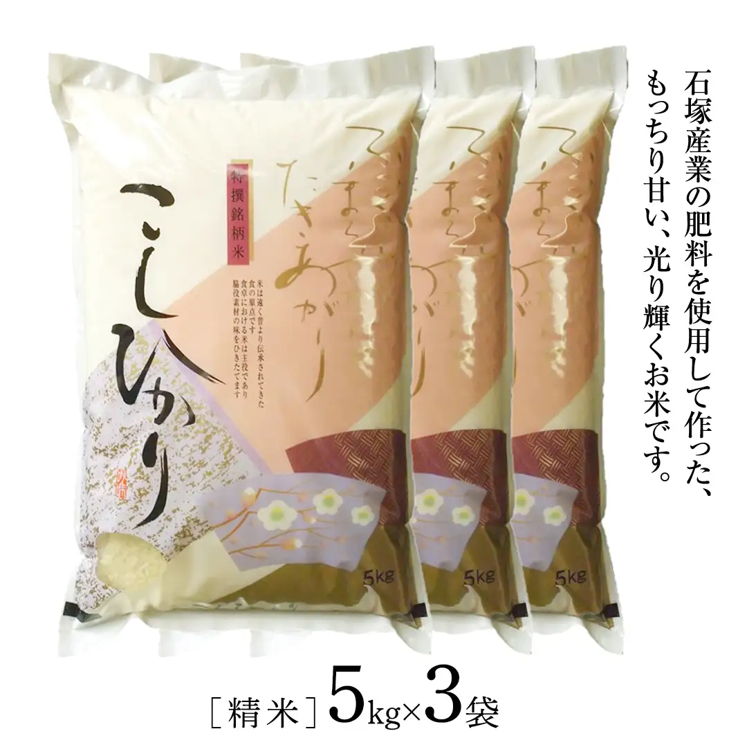 【 3ヶ月 定期便 】【 令和8年産 】 コシヒカリ 精米 5kg × 3回 ( 合計 15kg )（茨城県共通返礼品）こしひかり 米 ごはん もっちり 甘い コメ お米 白米 銘柄米 茨城県 桜川市 [EX017sa]