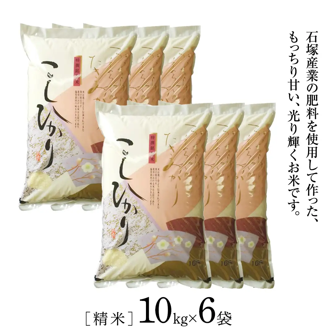 【 6ヶ月 定期便 】【 令和8年産 】 コシヒカリ 精米 10kg ( 10kg × 1袋 ) × 6回 ( 合計 60kg )（茨城県共通返礼品） こしひかり 米 ごはん もっちり 甘い コメ お米 白米 銘柄米 茨城県 桜川市 [EX020sa]