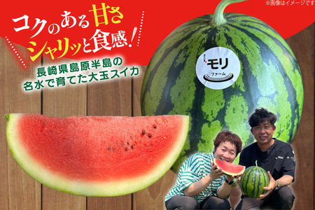 AJ459 【令和9年度出荷分】 湧水の里 モリファーム 中玉スイカ プチット M～L 5～7kg 1玉