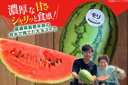 AJ460 【令和9年度出荷分】 湧水の里 モリファーム 小玉スイカ うり坊 3L 4kg 1玉