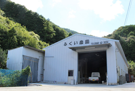 令和8年産 もち米 10キロ もち米