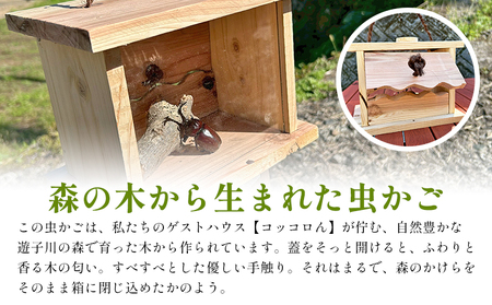 ＜遊子川の森から生まれた、木の温もり溢れる木製虫かご＞ 虫かご 虫籠 木製 1個 オリジナル 特別 虫取り 虫とり 刻印 記念 思い出 昆虫採集 昆虫 虫 子ども 遊子川ゲストハウス コッコロん 愛媛県 西予市【常温】『ご連絡調整後、製作し発送いたします』 SUG0002