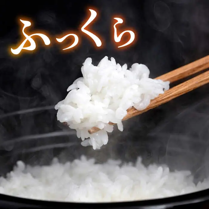 糸島産 ヒノヒカリ 20kg 糸島市 / 平山農園 米 白米 米 白米 ご飯 お米 20kg[AXN007]