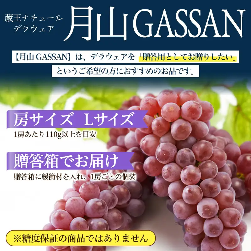 【月山 GASSAN】蔵王ナチュールデラウェア 山形のデラウエア TAKUMI ORCHARD 99% 贈答 L以上 約1kg 山形 山形県 山形市 フルーツ 果物 くだもの 送料無料 ぶどう 葡萄 ブドウ デラウェア 減農薬【令和8年産先行予約】FS25-119