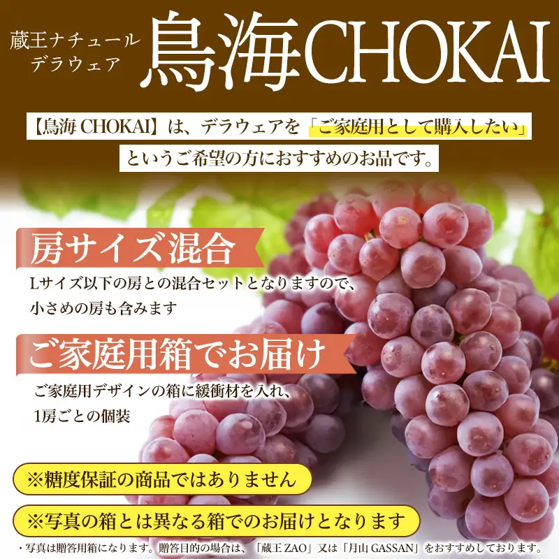 【鳥海 CHOKAI】蔵王ナチュールデラウェア 山形のデラウエア TAKUMI ORCHARD 99% ご家庭 M以上房サイズ混合 約2kg 山形 山形県 山形市 フルーツ 果物 くだもの 送料無料 ぶどう 葡萄 ブドウ デラウェア 減農薬【令和8年産先行予約】FS25-120