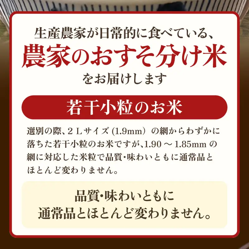 【先行予約】令和8年産  生活応援米 5kg【10月中旬以降】【白米】 [e81-a004_01]