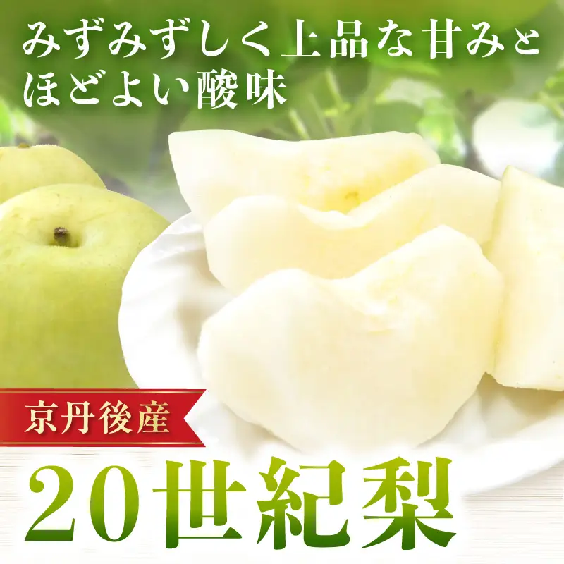 【先行予約／数量限定150】20世紀梨 5kg（2026年9月上旬～発送）梨
