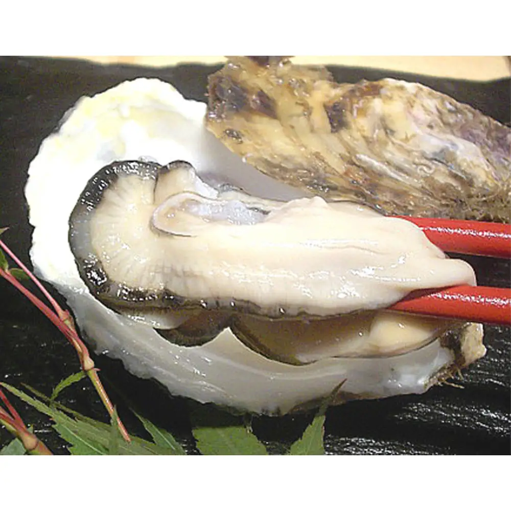 殻付き牡蠣10個＋オイスターナイフ ／ カキ 貝 殻付き 松島湾 海産物 牡蠣セット オイスターナイフ 新鮮 宮城県 特産品 No.175