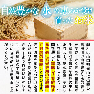 光市産 にじのきらめき 7kg (3.5kg×2)  米 お米 ご飯 お弁当 おにぎり 白米 精米 単一原料米 非常用 備蓄米 AF0101  