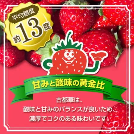 いちご　古都華・ことか 1パック(8～15粒入り)【配送不可地域：離島・北海道・沖縄県・東北】【1605677】