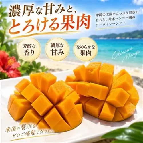【発送月固定定期便】家庭用マンゴー2種食べ比べ(アップルマンゴー＆キーツマンゴー)全2回【配送不可地域：離島】【4074843】