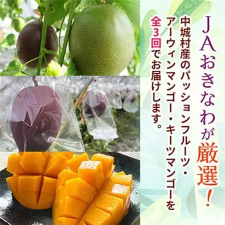 【発送月固定定期便】2027年発送 JAおきなわが厳選する南国フルーツ定期便全3回【配送不可地域：離島】【4077025】