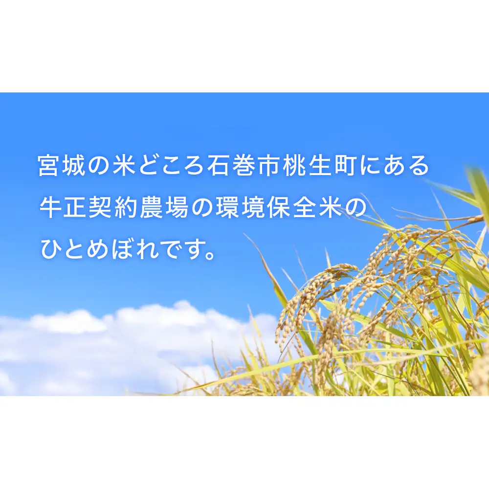 R7年産 ひとめぼれ 10kg (5kg×2袋) 米 お米 ご飯 ヒトメボレ 石巻市