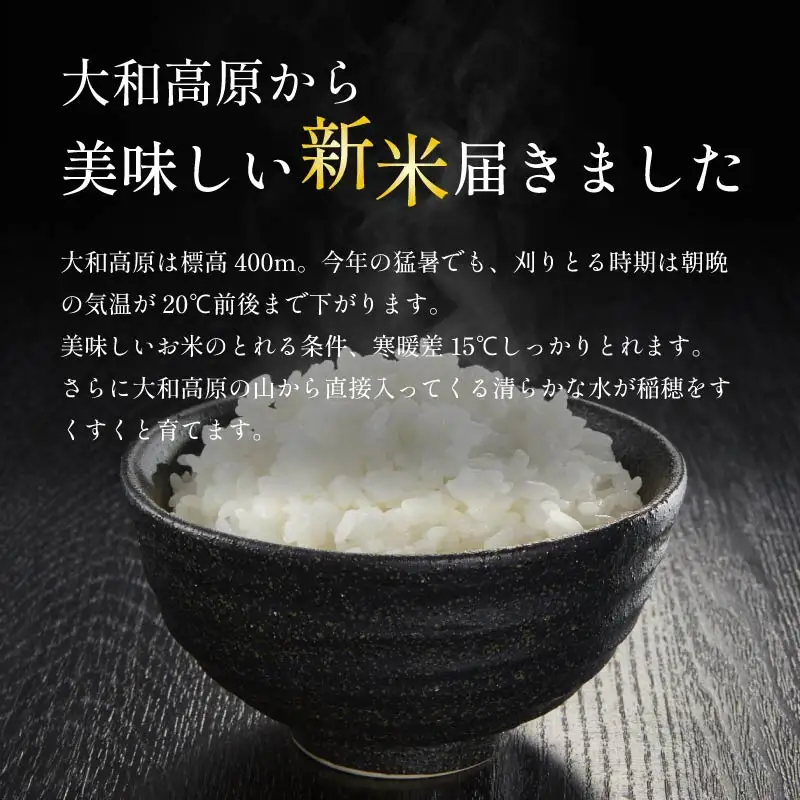 米 こしひかり10kg ykj02