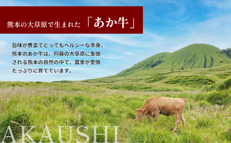 【定期便 6回】あか牛スジ 1kg