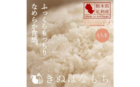令和7年 足利市産 のりちゃん米 もち米 (きぬはなもち) 5kg＜栽培期間中 農薬・肥料不使用＞ 餅 もち 米 こめ 食品 農家 限定 2025年 年末 正月 新年 贈答 贈り物 ギフト プレゼント 家庭 自宅 栃木県 足利市 F7Z-1721