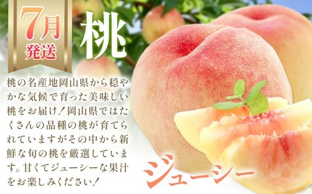 【2027年発送】【定期便】岡山の果物　3種食べ比べ 3回発送（令和9年7月中旬～11月下旬頃発送）【果物】