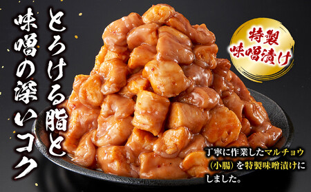 ＜訳アリ＞牛マルチョウ　特製味噌漬け　1.2kg(300g×4）【2026年9月発送】