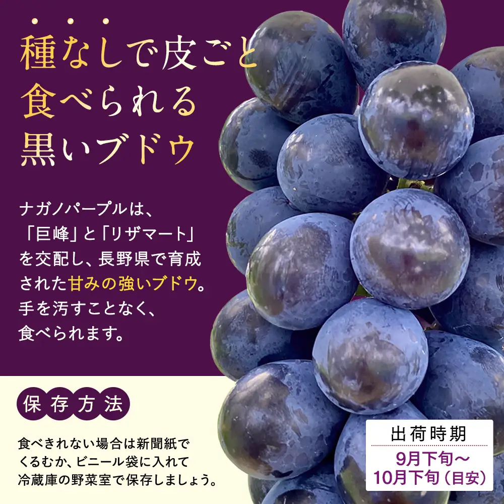 ナガノパープル(約1kg、2～3房)　