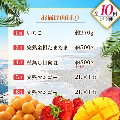 【10回定期便】旬 人気 フルーツ 南国宮崎産 マンゴー 金柑たまたま シャインマスカット ピオーネ いちご みかん 日向夏 メロン 柑橘 きんかん ぶどう 果物 詰め合わせ 宮崎県 九州＜E-3コース M700＞