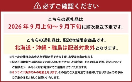 ぶどう 2026年 先行予約 瀬戸ジャイアンツ 3房 合計2kg以上 【2026年9月上旬～9月下旬発送予定】 ／ 桃太郎ぶどう ブドウ 葡萄 皮ごと 岡山県産 国産 フルーツ 果物 ギフト 河本農園 岡山県 美咲町 冷蔵