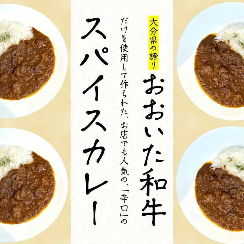おおいた和牛 スパイスカレー 3袋 K03038