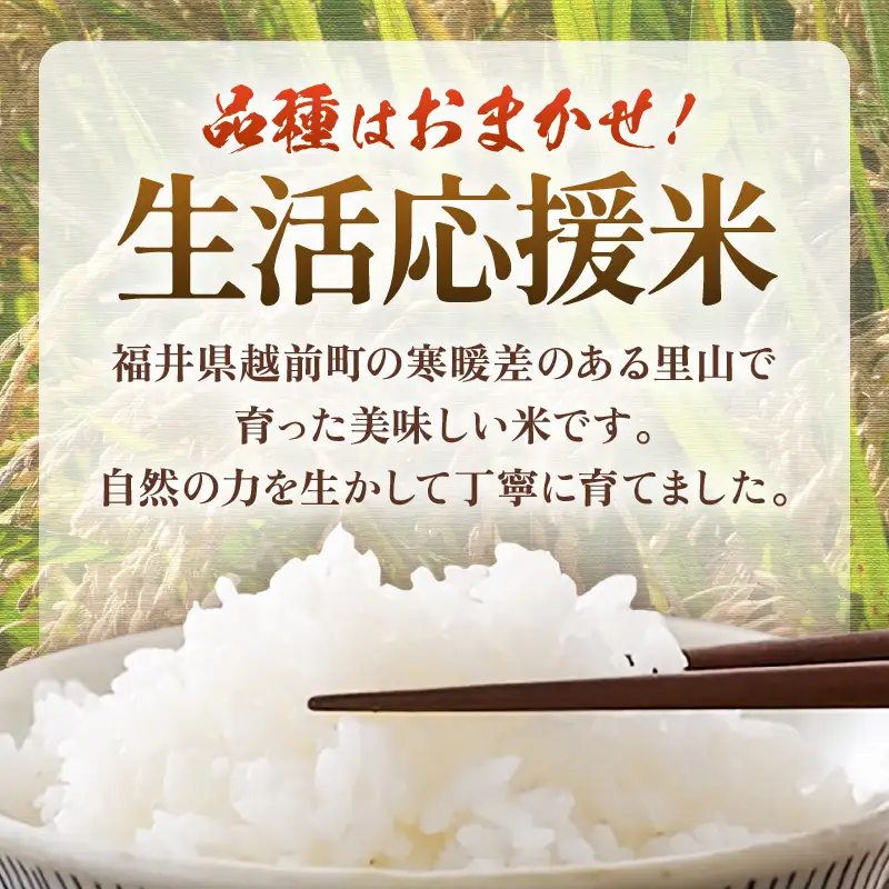 【先行予約】定期便 ≪6ヶ月≫  令和8年産 生活応援米5kg × 6回【白米】【10月中旬以降順次】 [e81-e001_01]