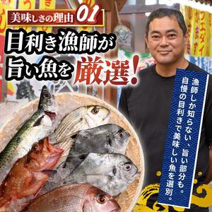 カツオ の 腹皮 5種 150g×10P IB035-026
