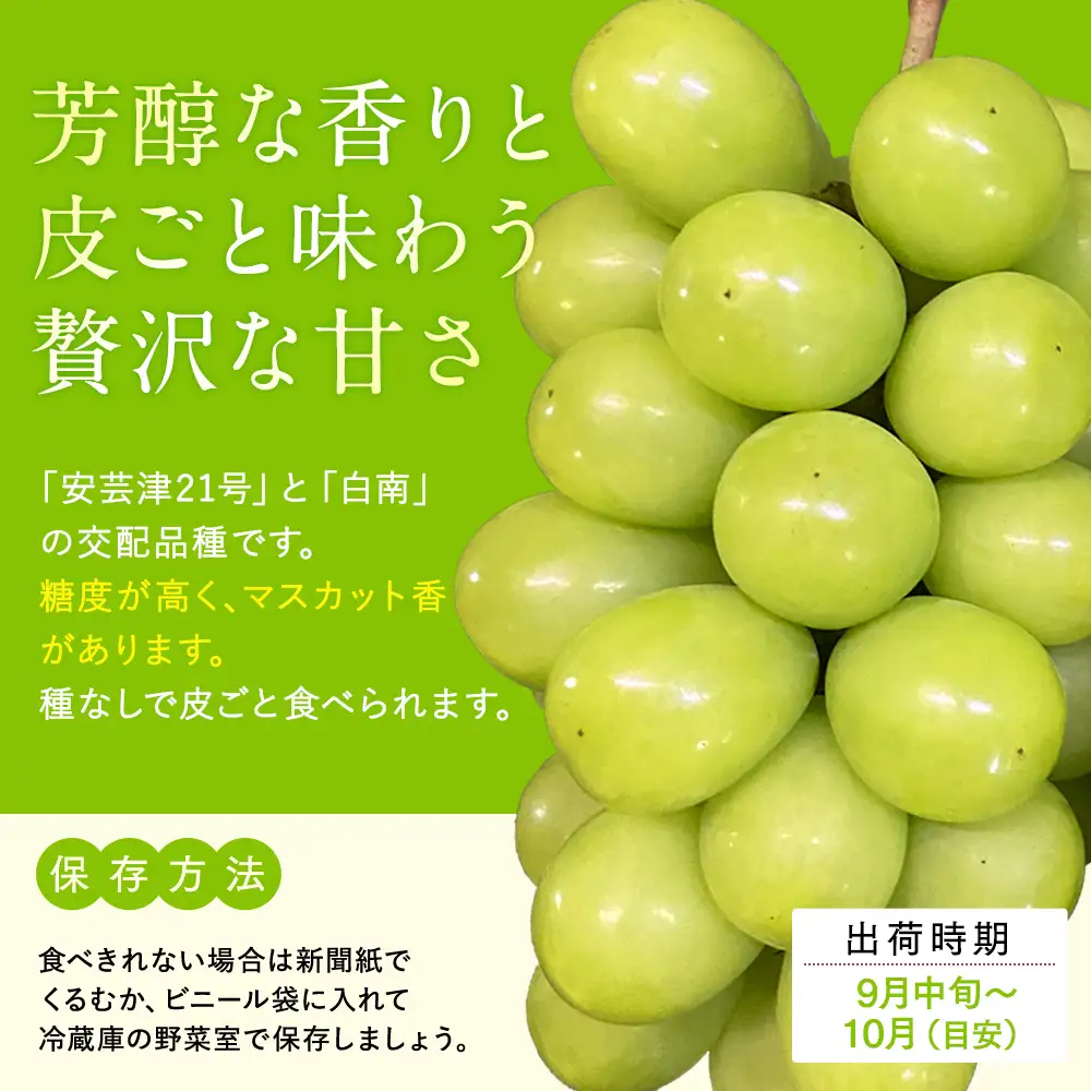 シャインマスカット(約1kg、2～3房)　