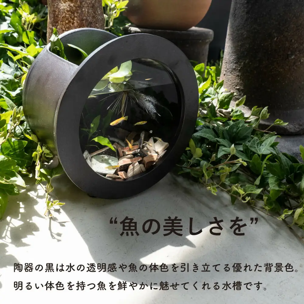 【信楽焼・明山】丸水槽・大（黒）aqua-06s