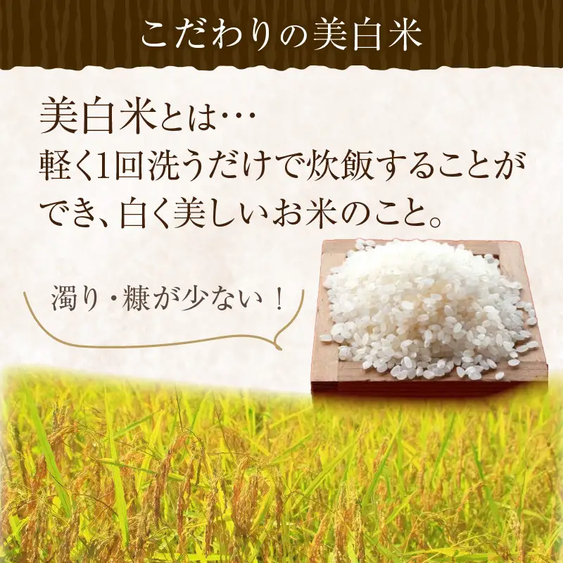 【定期便3回】令和8年産 美白精米 丹後こしひかり 3kg×3ヵ月 1等米