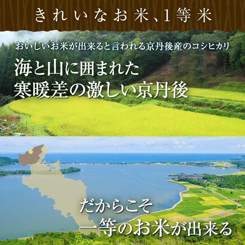 【定期便6回】令和8年産 丹後こしひかり 3kg×6ヵ月 1等米