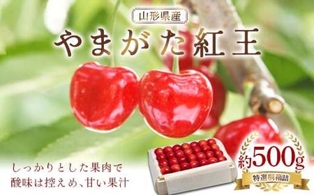 《先行予約》2027年 山形県産 やまがた紅王 特選桐箱詰 約500g やまのべ多田耕太郎のさくらんぼ F4A-1000