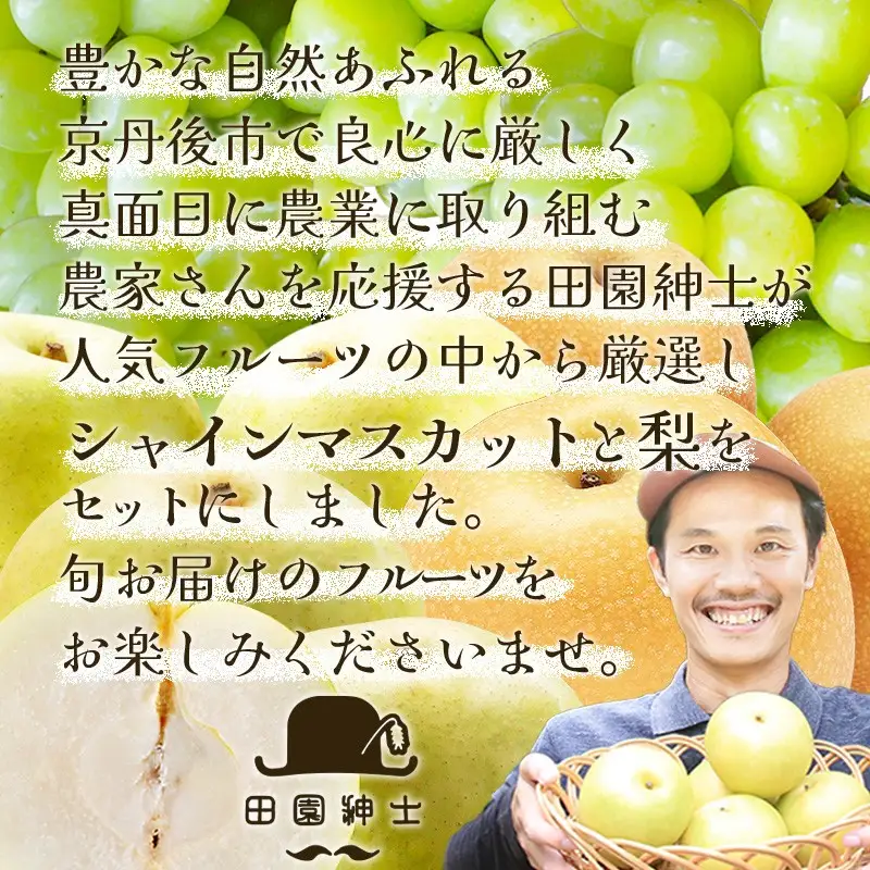 田園紳士厳選 シャインマスカット・梨セット セットフルーツ シャインマスカットとナシ 厳選フルーツ 