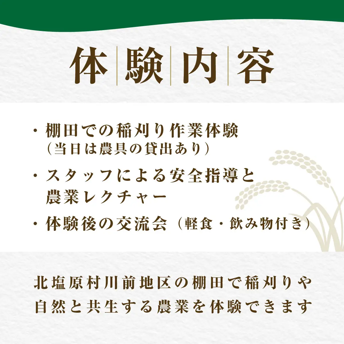 北塩原村川前棚田　稲刈り体験 KBAH003