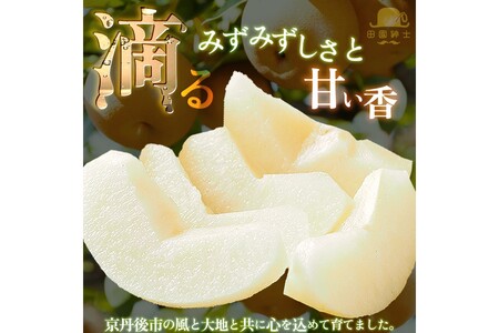 【先行予約】梨セット  5kg 新興と別品種｜京丹後市 梨
