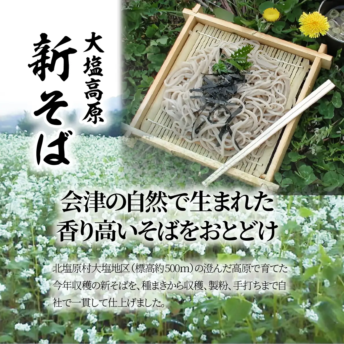 大塩高原　新そば（10食分） KBAI001