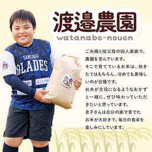 《数量限定》北海道 士別市朝日町の元気ファミリー米 ななつぼし 玄米 (5kg) 米 お米 北海道米 北海道産 北海道米 士別市産 ごはん 5kg 【渡邉農園】【B7144】