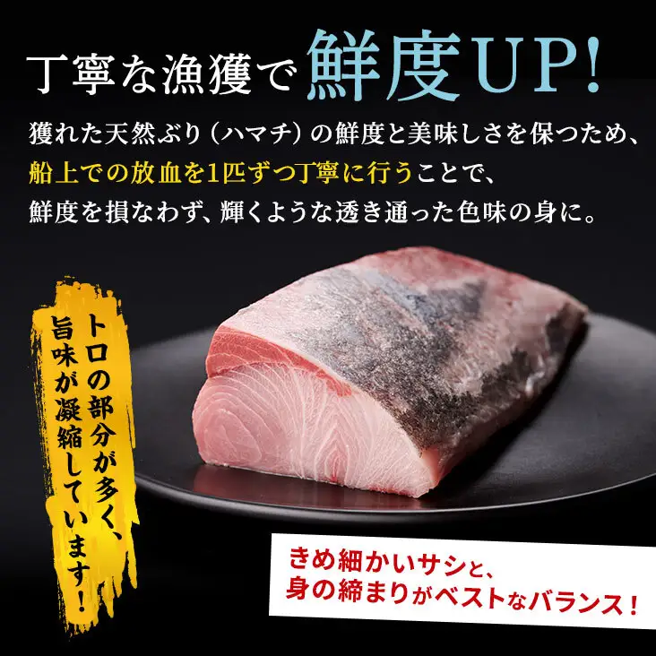 【ふるなび限定】漬け丼 の素 北海道 白糠町産 天然 ぶり 10袋  漬け丼 ブリ ハマチ ふるさと はまち 刺身 お刺身 海鮮丼 北海道産 漬け 海鮮 お刺身 小分け 簡単 お手軽 buri hamachi_A013-1737-A