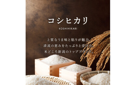 米 【3か月定期便】R7年産 新潟県産 コシヒカリ 10kg （精米） 新潟のど真ん中 見附市 こしひかり 米 お米 白米 国産 ごはん ご飯