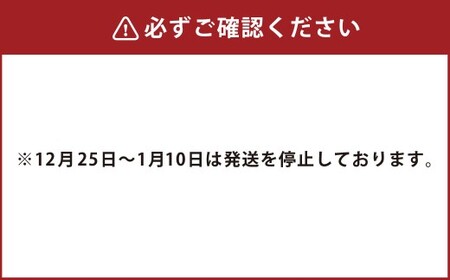 コトブキ 瓶ラムネ 240ml （30本） ラムネ ジュース ドリンク 飲料 炭酸飲料 桑名市産