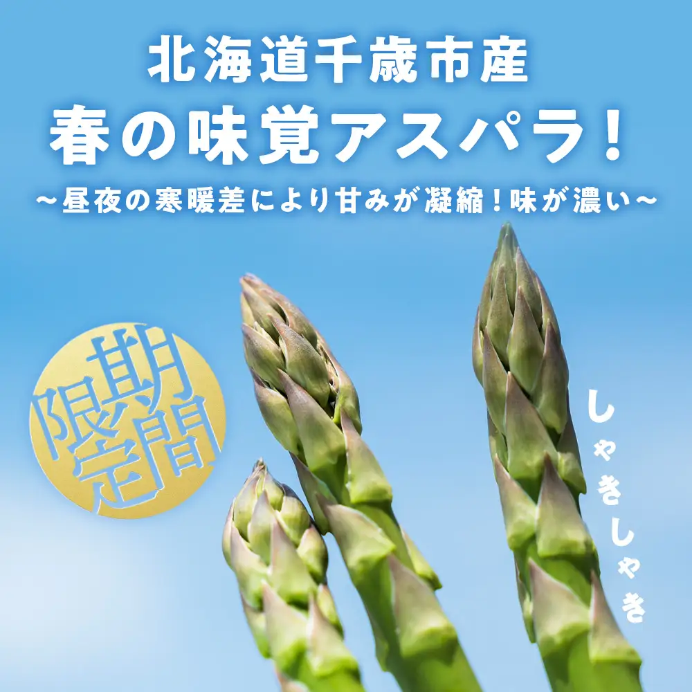 【 2027年 春発送 】 グリーンアスパラ 1kg M～2L アスパラ アスパラガス 野菜 千歳 北海道