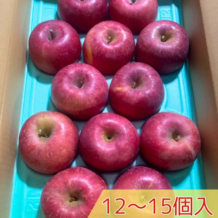 りんご 長野県産 サンふじ 約5kg 12個 ～ 15個 入り ＜2026年11月下旬～発送＞