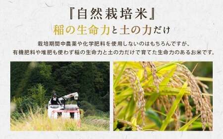 【6ヵ月定期便】さとうファームの自然栽培米（玄米5kg）ふっくら つやつや おいしい 美味しい 贈り物 単一原料米