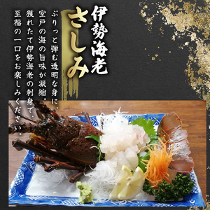 【 伊勢海老 】 伊勢海老 2kg 5尾～7尾