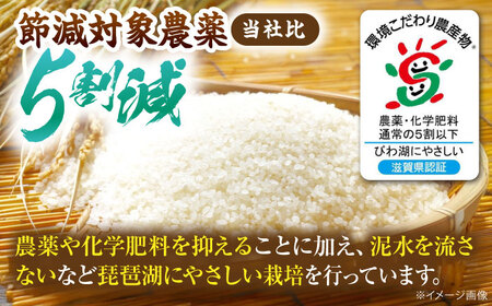【令和8年産 新米】無洗米 コシヒカリ 5kg [AQDK003] 無洗米