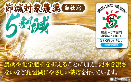 【令和8年産 新米】無洗米 コシヒカリ 10kg [AQDK004] 無洗米